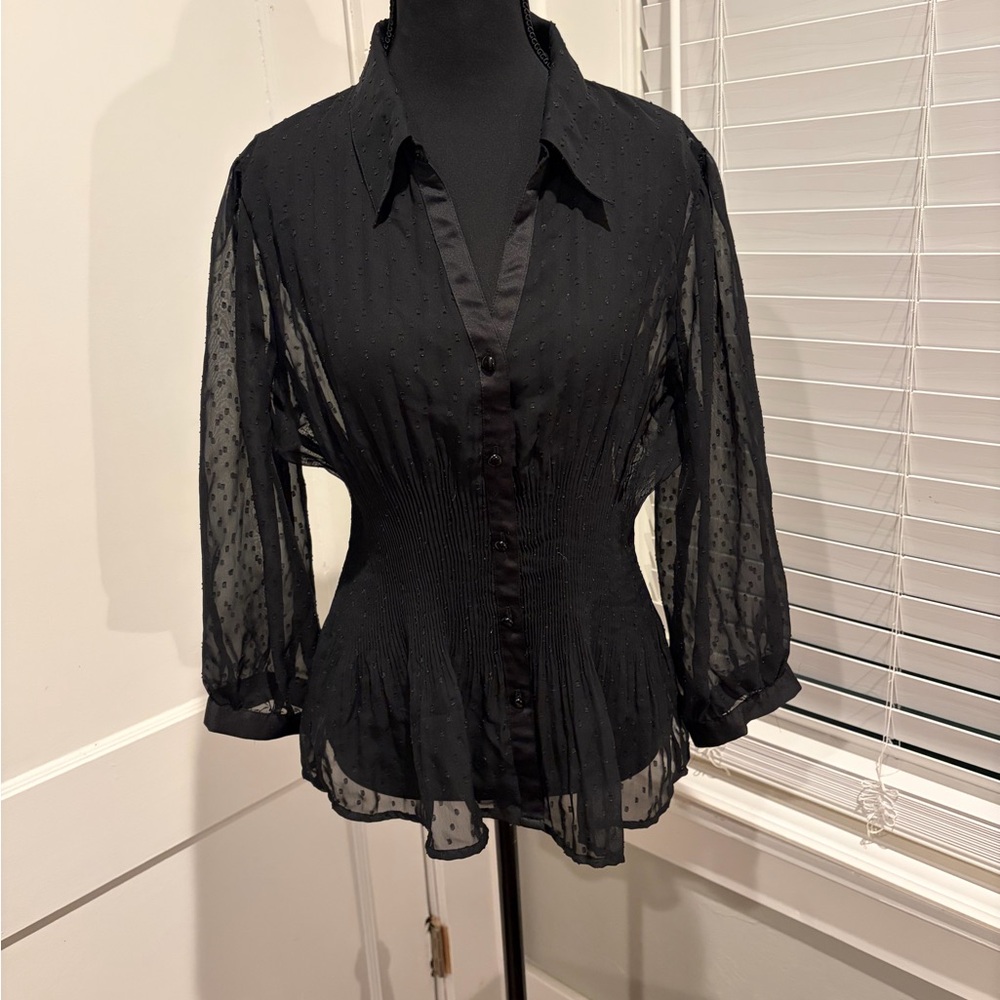 Elegant Black Sheer Women's Top
